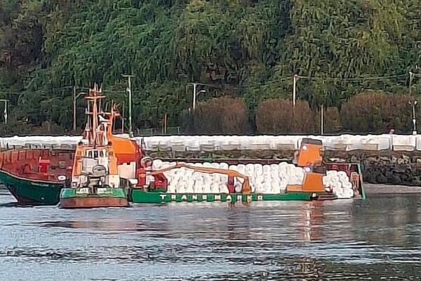 Barco con 500 toneladas de alimento para peces estuvo a punto de hundirse en Puerto Montt