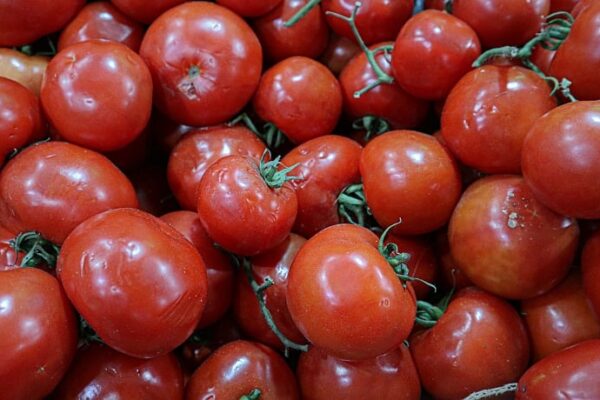 Crece precio de los alimentos en Puerto Montt por sobre el IPC: alza llega a 4,9%